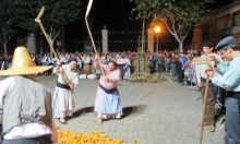 Desfolhada e Malhada