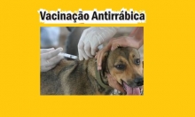 Vacinação Antirrábica - 30 de julho