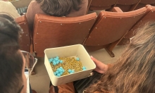 Palestra – Mindfulness Infantil e Estimulação Cognitiva.